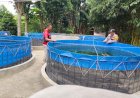 Polsek-Porong-Dampingi-Warga-Budidaya-Ikan-Lele-dan-Nila